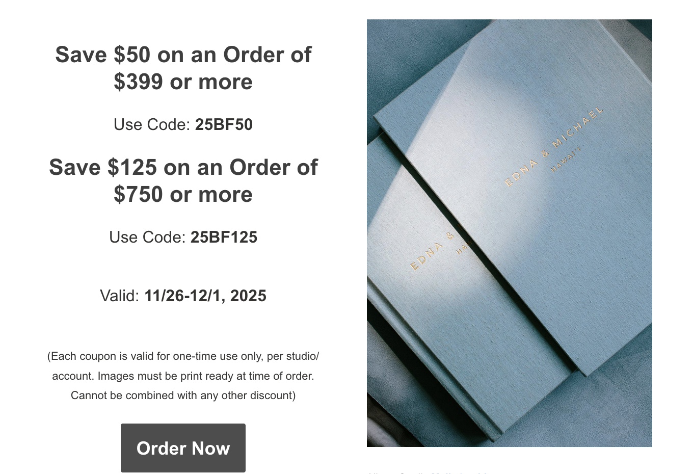 Vision Art Black Friday Deal 2025